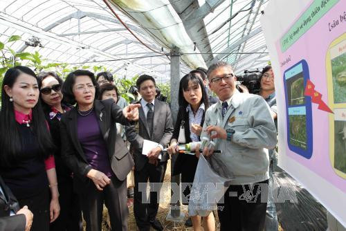 国家副主席邓氏玉盛在日本福冈县开展的系列活动 ảnh 3