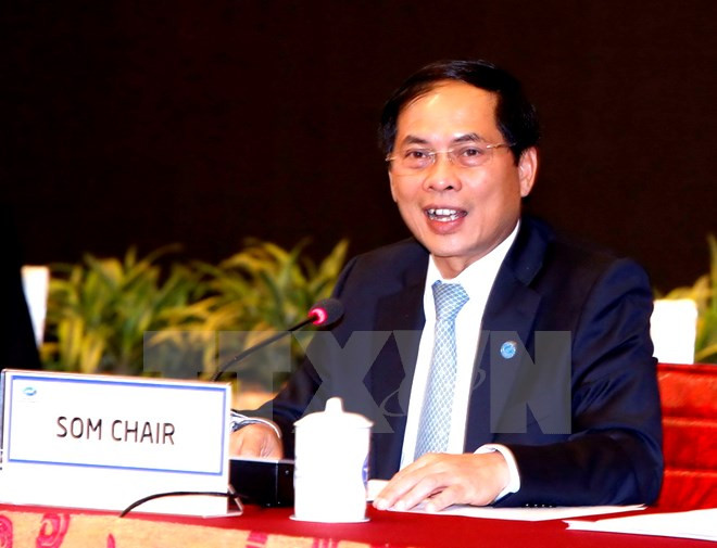 2017年APEC高官会主席：积极主动 共创APEC的未来 ảnh 1