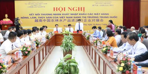越中企业加强对接 加大越南农林水产品对中国出口力度 ảnh 1 越中企业加强对接 加大越南农林水产品对中国出口力度 ảnh 1