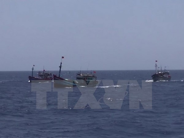 越南农业与农村发展部：中国对归属越南海域发布休渔制度是无效的 ảnh 1