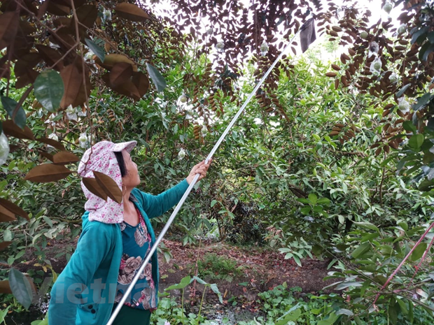 越南工商会：要全力做好疫情防控和企业帮扶 ảnh 3