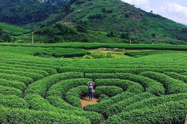 最适合周末旅游的河内附近目的地 ảnh 1 最适合周末旅游的河内附近目的地 ảnh 1