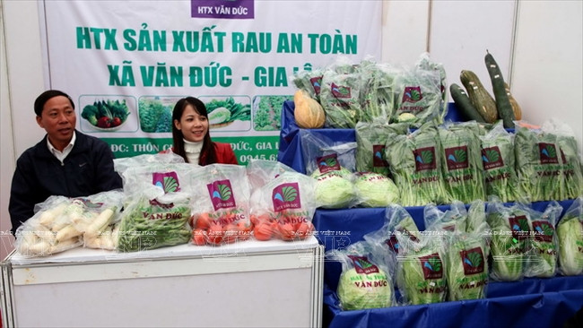 河内发展高科技农业 ảnh 8 河内发展高科技农业 ảnh 8