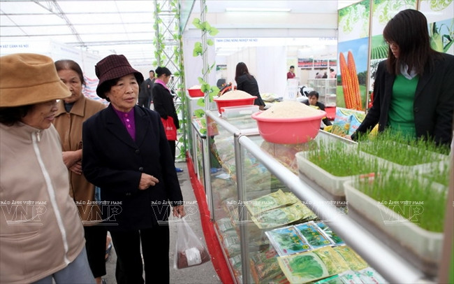 河内发展高科技农业 ảnh 9 河内发展高科技农业 ảnh 9