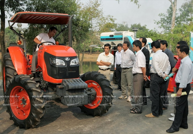 河内发展高科技农业 ảnh 7 河内发展高科技农业 ảnh 7