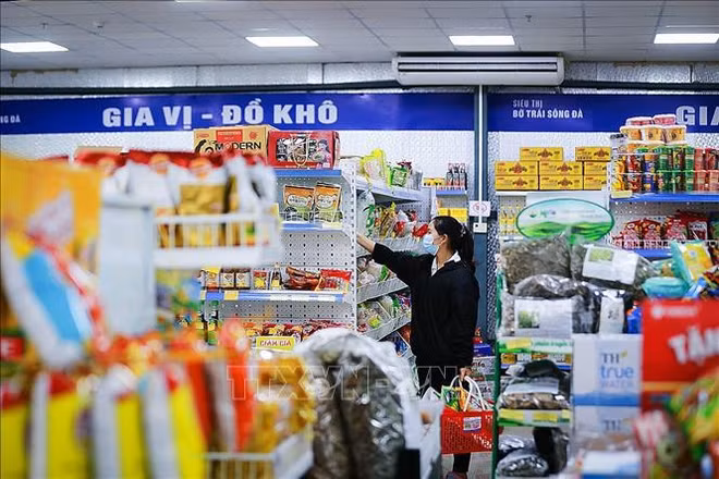2021年前11个月越南全国货物进出口增长22.3% ảnh 2