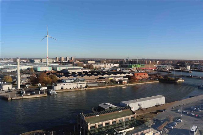 越南各地与比利时安特卫普省之间的合作潜力 ảnh 2