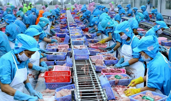 越南与瑞士贸易合作空间和潜力巨大 ảnh 1