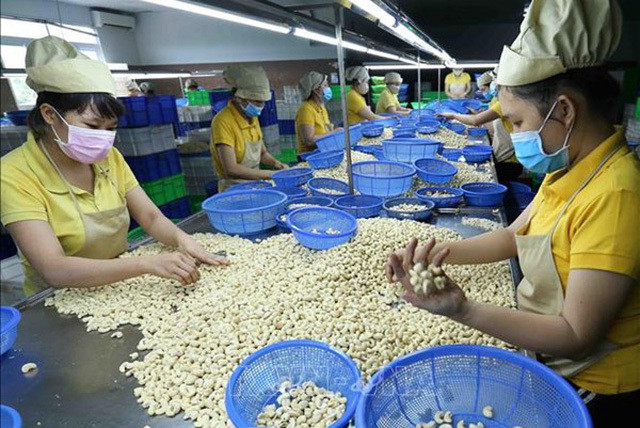 越南与瑞士贸易合作空间和潜力巨大 ảnh 2