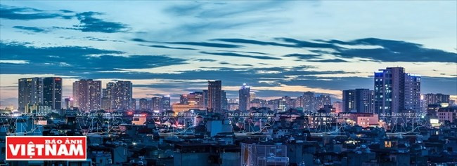 越南各地与比利时安特卫普省之间的合作潜力 ảnh 1