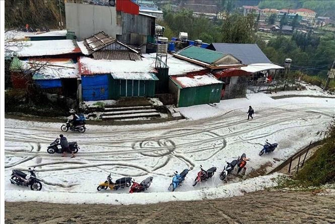 越南各省筹集资源开展灾后重建工作 ảnh 1 越南各省筹集资源开展灾后重建工作 ảnh 1