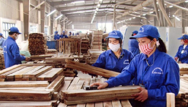 越南全国共有7500家农林水产品加工厂 ảnh 1