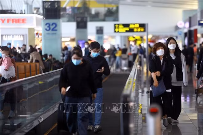 新冠肺炎疫情:新山一机场和内排机场暂不接收来自韩国的航班降落 ảnh 1 新冠肺炎疫情:新山一机场和内排机场暂不接收来自韩国的航班降落 ảnh 1