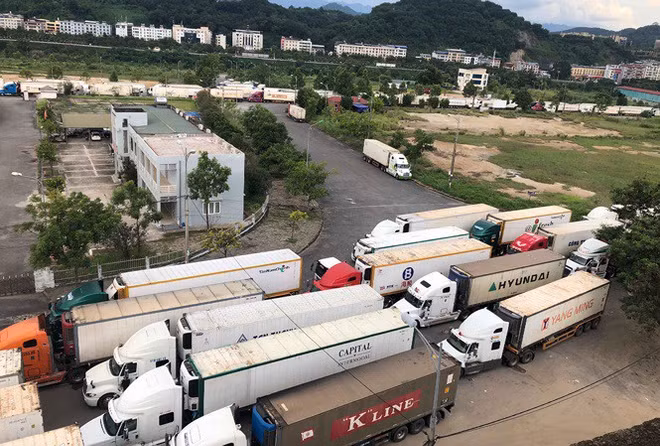 越南北部边境口岸滞留农产品仍然较多 ảnh 1 越南北部边境口岸滞留农产品仍然较多 ảnh 1