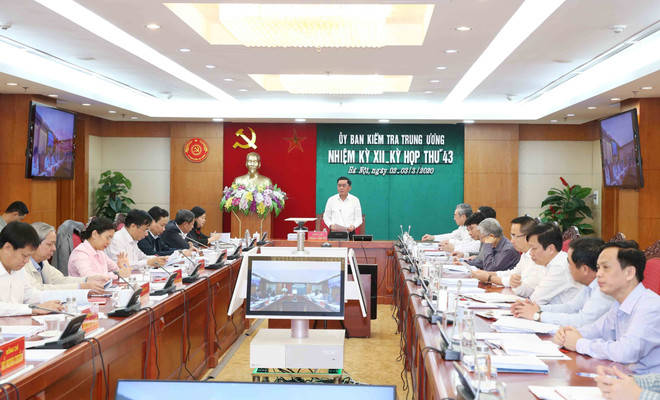 越共中央检查委员会第43次会议：讨论决定给予2010-2015年任期胡志明市委常委会纪律处分 ảnh 1