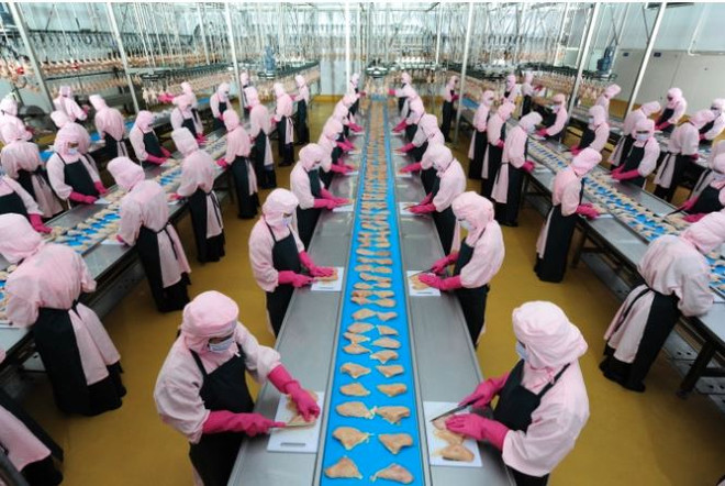 越南正式获批向俄市场出口鸡肉加工品 ảnh 1 越南正式获批向俄市场出口鸡肉加工品 ảnh 1