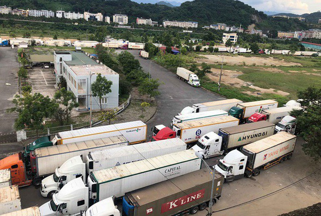 边境口岸滞留的农产品逐渐减少 ảnh 1 边境口岸滞留的农产品逐渐减少 ảnh 1