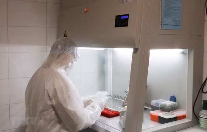 新冠肺炎疫情：越南新冠肺炎病毒体外诊断试剂产品获得注册码 ảnh 1