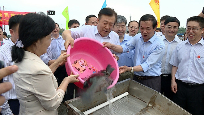 越中携手推动北部湾渔业资源可持续利用与发展 ảnh 4 越中携手推动北部湾渔业资源可持续利用与发展 ảnh 4