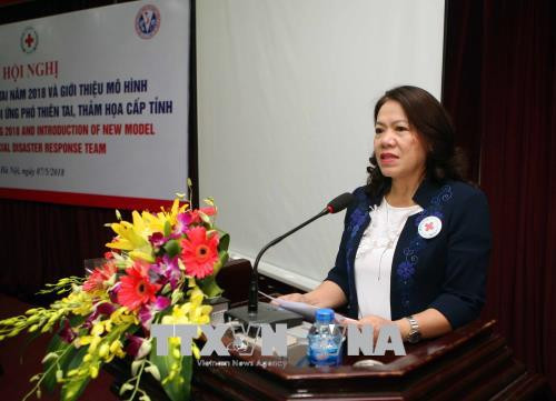 越南着力加强自然灾害防范工作 ảnh 1 越南着力加强自然灾害防范工作 ảnh 1