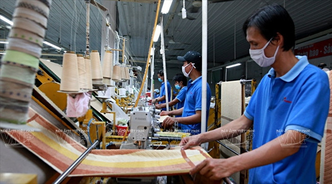 越南丰富股份总公司的优势 ảnh 8 越南丰富股份总公司的优势 ảnh 8