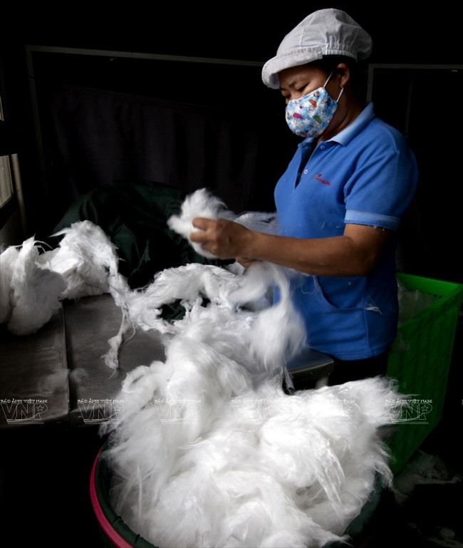 越南丰富股份总公司的优势 ảnh 5 越南丰富股份总公司的优势 ảnh 5