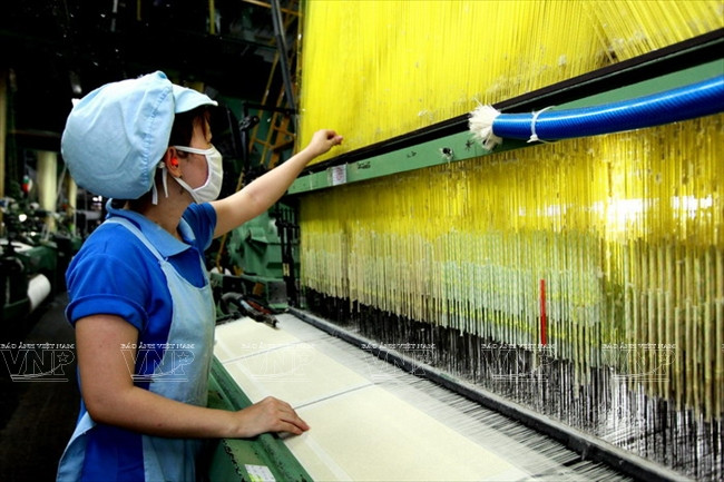 越南丰富股份总公司的优势 ảnh 6 越南丰富股份总公司的优势 ảnh 6