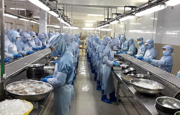 加拿大学者:越南成为经济发展和疫情防控亮点 ảnh 1 加拿大学者:越南成为经济发展和疫情防控亮点 ảnh 1