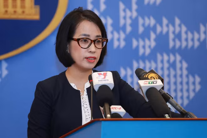 越南反对对越南渔船使用的武力行为 ảnh 1