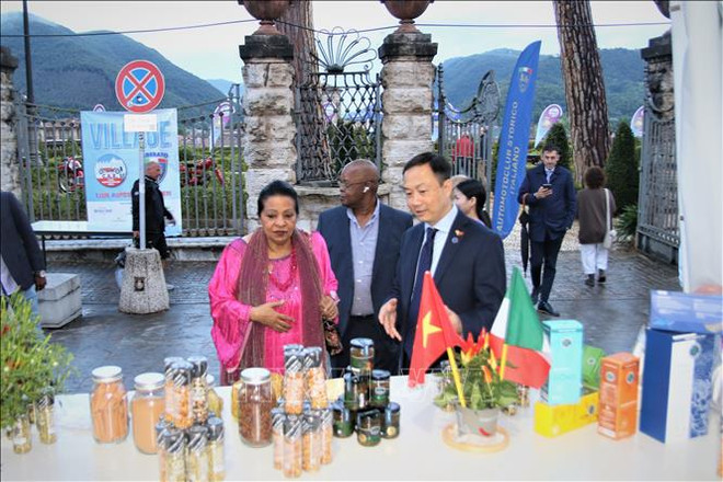 越意建交50周年:两国农业合作潜力巨大 ảnh 1 越意建交50周年:两国农业合作潜力巨大 ảnh 1