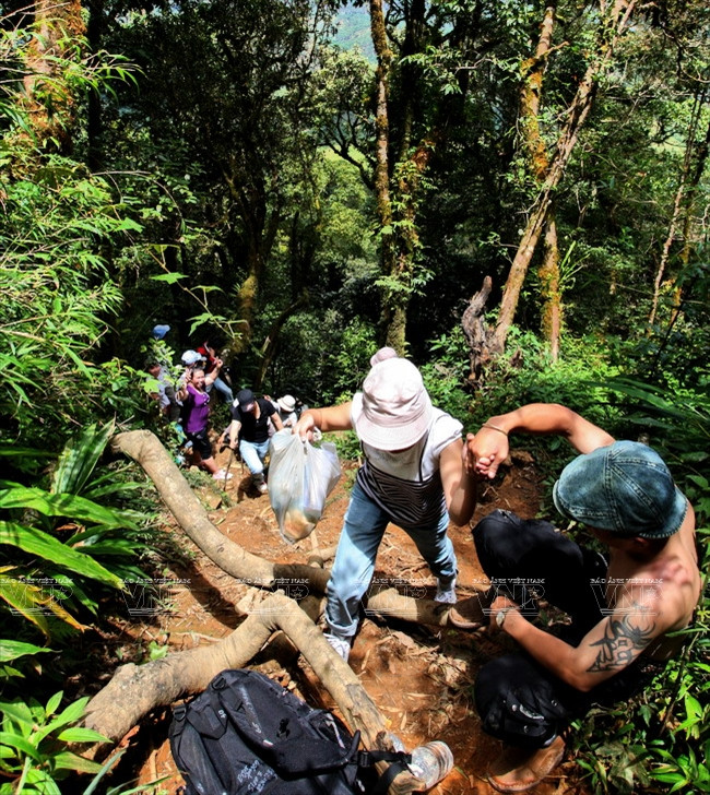 神话般的浪平 ảnh 3