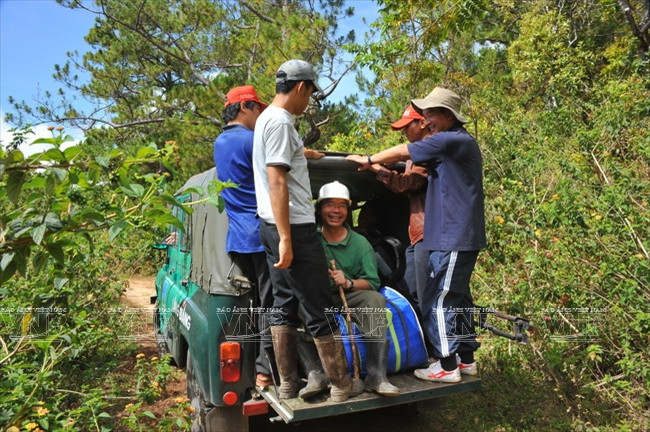 神话般的浪平 ảnh 4