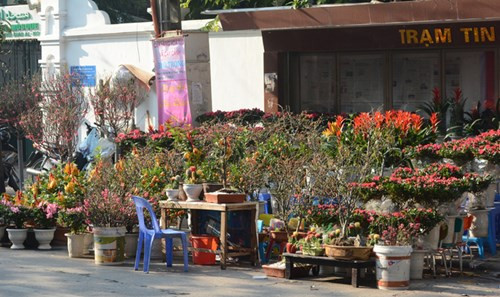 河内春节期间不能错过的四大集市 ảnh 7 河内春节期间不能错过的四大集市 ảnh 7