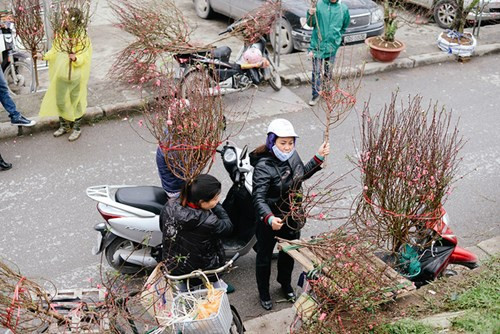 河内春节期间不能错过的四大集市 ảnh 2 河内春节期间不能错过的四大集市 ảnh 2