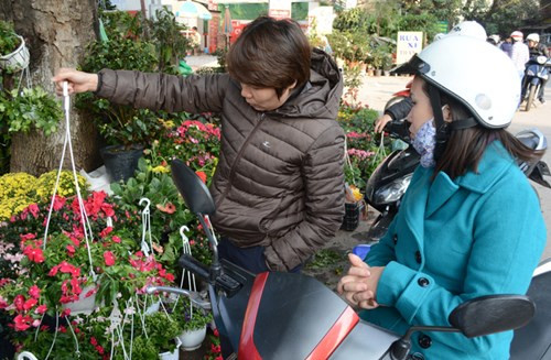 河内春节期间不能错过的四大集市 ảnh 5 河内春节期间不能错过的四大集市 ảnh 5