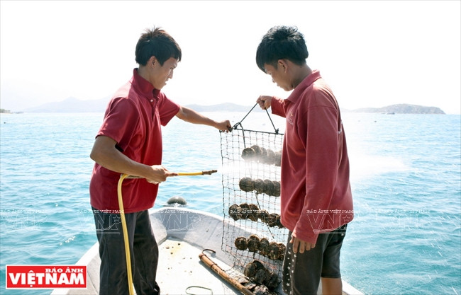 皇家珍珠 ảnh 8 皇家珍珠 ảnh 8