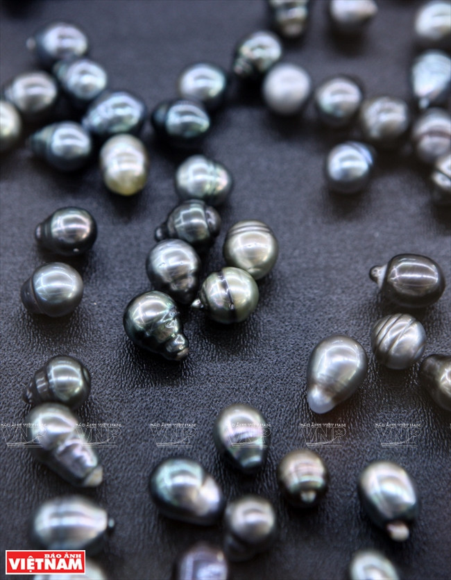皇家珍珠 ảnh 16 皇家珍珠 ảnh 16