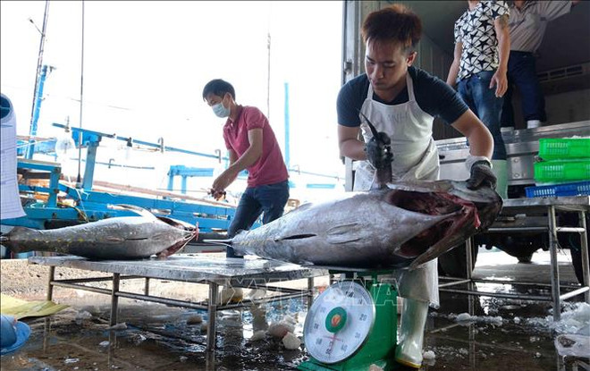 2020年越南经济：坚强的意志打下深刻的烙印 ảnh 2