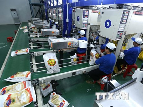 2021年越南大米出口期望有起色 ảnh 2 2021年越南大米出口期望有起色 ảnh 2