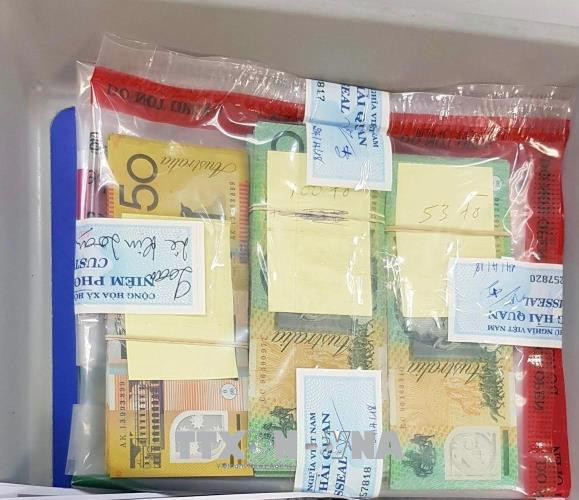 越南新山一海关连续查获非法携带巨额外币出境案 ảnh 1