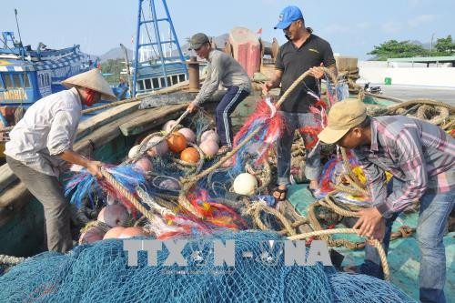欧委会开始对越南“打击IUU非法捕捞”措施落实情况进行检查 ảnh 1 欧委会开始对越南“打击IUU非法捕捞”措施落实情况进行检查 ảnh 1