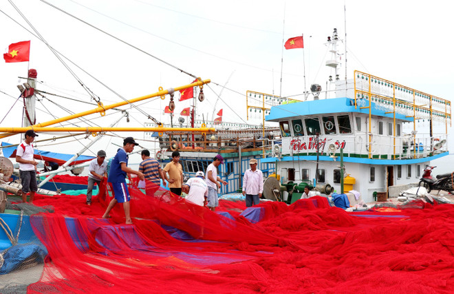 越南中部各省致力解决海洋环境污染事故 恢复灾区生产经营活动 ảnh 1 越南中部各省致力解决海洋环境污染事故 恢复灾区生产经营活动 ảnh 1