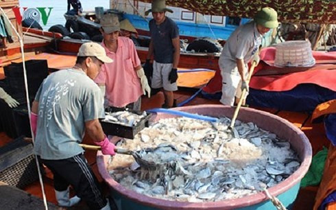 越南中部四省在海洋环境污染事故发生两年后当今的面貌 ảnh 1