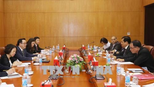 印度阿萨姆邦代表团赴越考察市场和寻找商机 ảnh 1 印度阿萨姆邦代表团赴越考察市场和寻找商机 ảnh 1