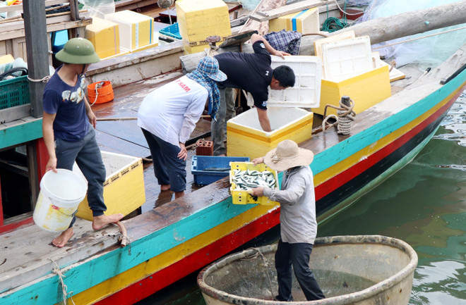 越南中部各省致力解决海洋环境污染事故 恢复灾区生产经营活动 ảnh 2 越南中部各省致力解决海洋环境污染事故 恢复灾区生产经营活动 ảnh 2