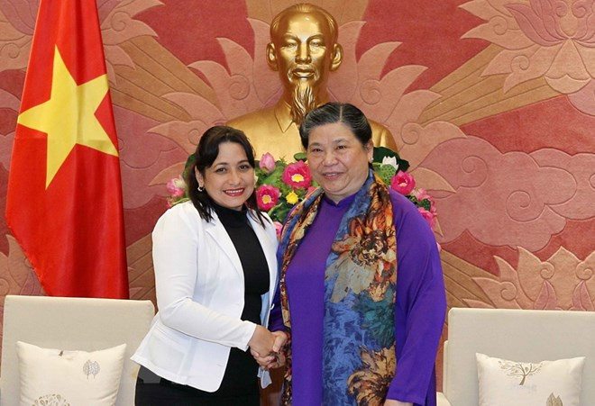 越南国会常务副主席丛氏放会见古共青盟第一书记 ảnh 1 越南国会常务副主席丛氏放会见古共青盟第一书记 ảnh 1