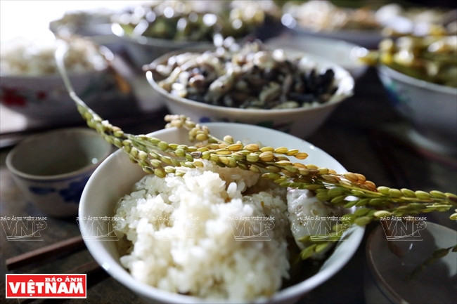 梯田越南西北奇观 ảnh 16 梯田越南西北奇观 ảnh 16