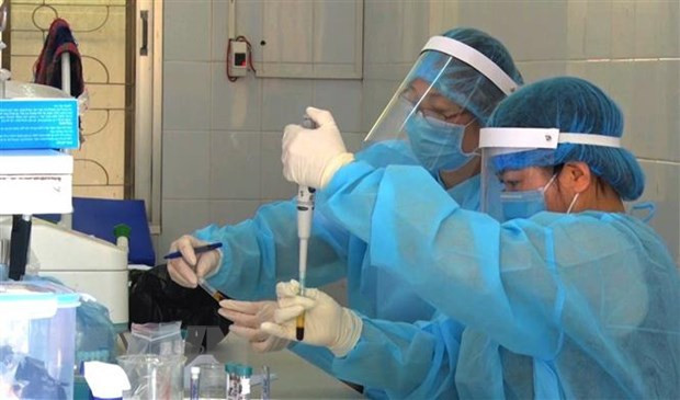 新冠肺炎疫情：胡志明市新增10例确诊病例 其中8例与复兴传教圣会感染集群有关 ảnh 1