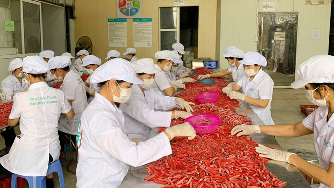 越南与英国贸易合作前景广阔 ảnh 1 越南与英国贸易合作前景广阔 ảnh 1