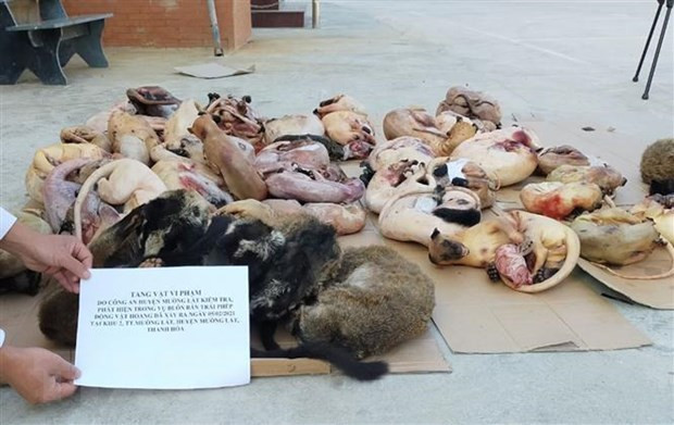 新冠肺炎疫情:从严遏制贩卖野生动物行为 ảnh 1 新冠肺炎疫情:从严遏制贩卖野生动物行为 ảnh 1